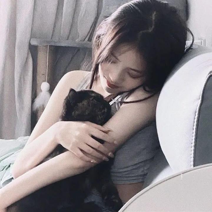 皿三昧
